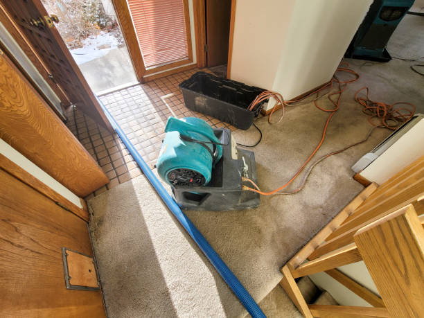 Best Flood restoration services  in Smoke Rise, AL