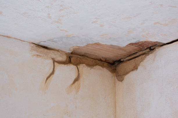  Smoke Rise, AL Water damage restoration Pros