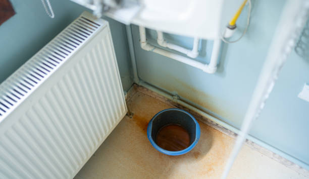 Best Sewage cleanup and water damage restoration  in Smoke Rise, AL